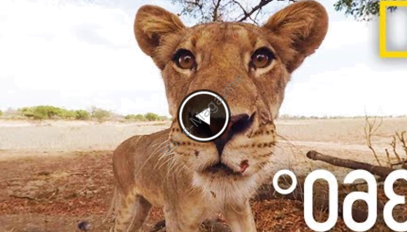 Immersion à 360 degrés: Comment les photos à 360° révolutionnent-elles la photographie?